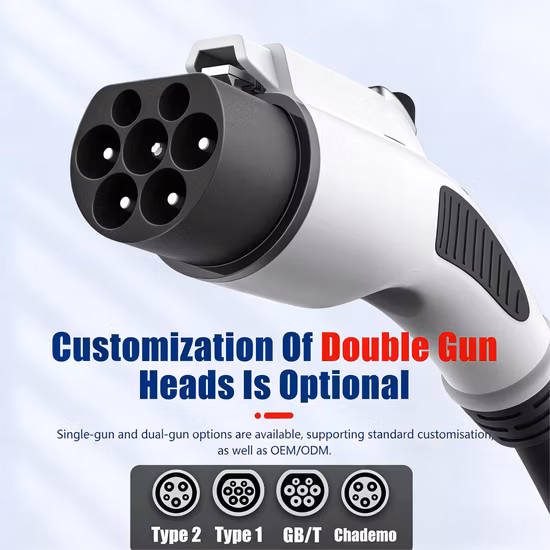 Dual-Gun Floor-Mounted AC EV Charger 7kw 11kw 22kw Multi-Standard Plug-and-Play Design - Dual Gun AC